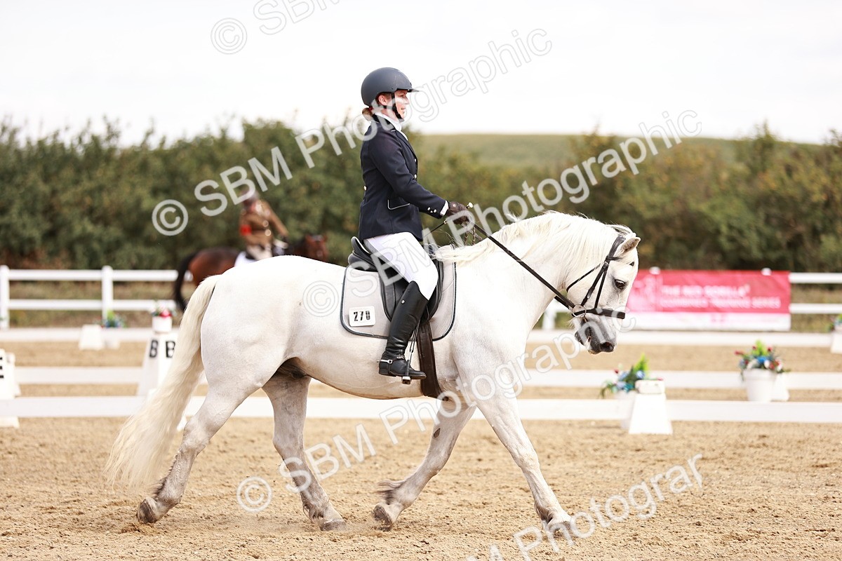 SBM_018030 - Class 15 - Prelim 6