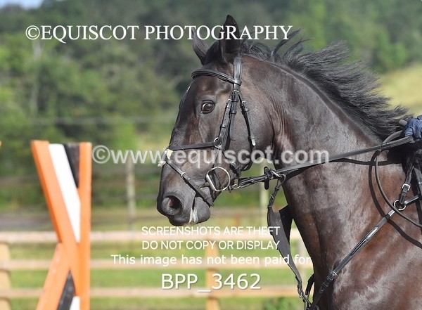 BPP_3462 - CLASS 1 Club/ Unaffiliated 70cms Open