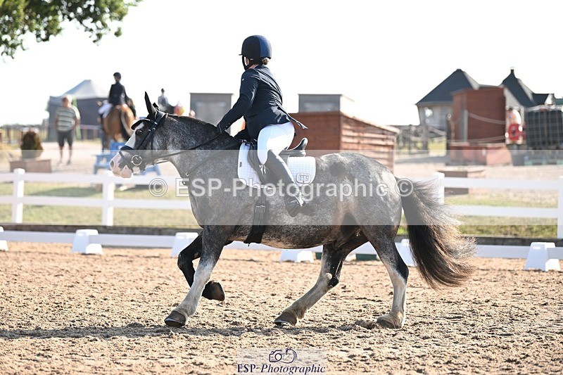 250816-090756-02839 - 055-Neve.HollowaySD.Out.of.the.Blue