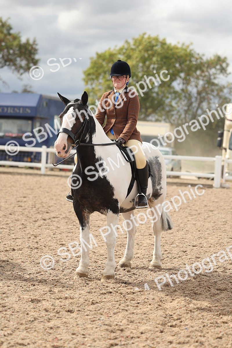 SBM_18046 - Class 314 - Family Horse Pony