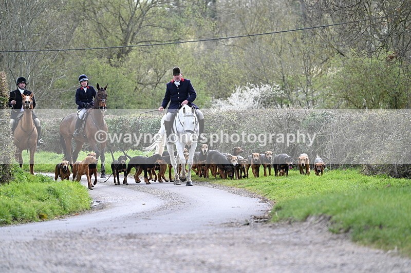 WJ7_9754 - Walk Home