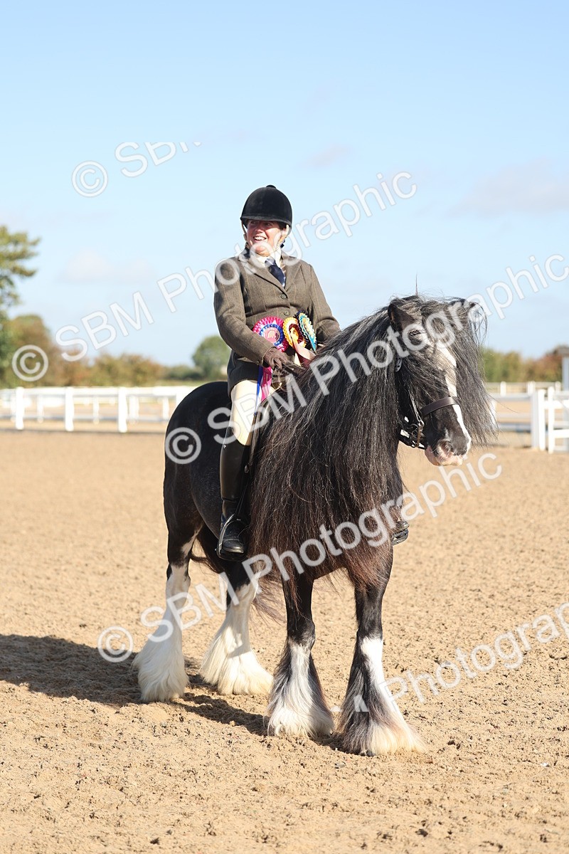 SBM_22251 - Class 802 - Ridden Groom Helpers Class