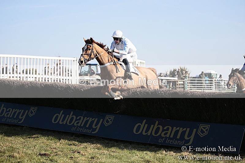PtP 240218 395 - Vine & Craven Hunt Point-to-Point Barbury racecourse 24/02/18