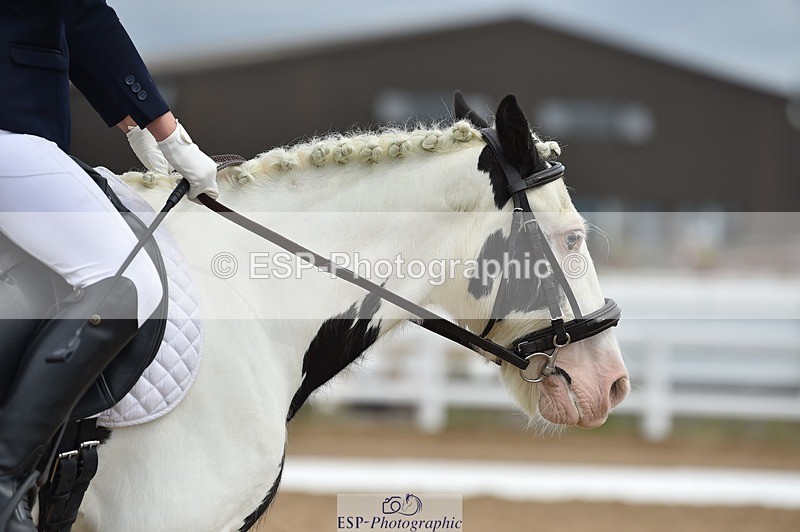 250622-110348-14234 - Quest Cls 25-30 Prelim Tests