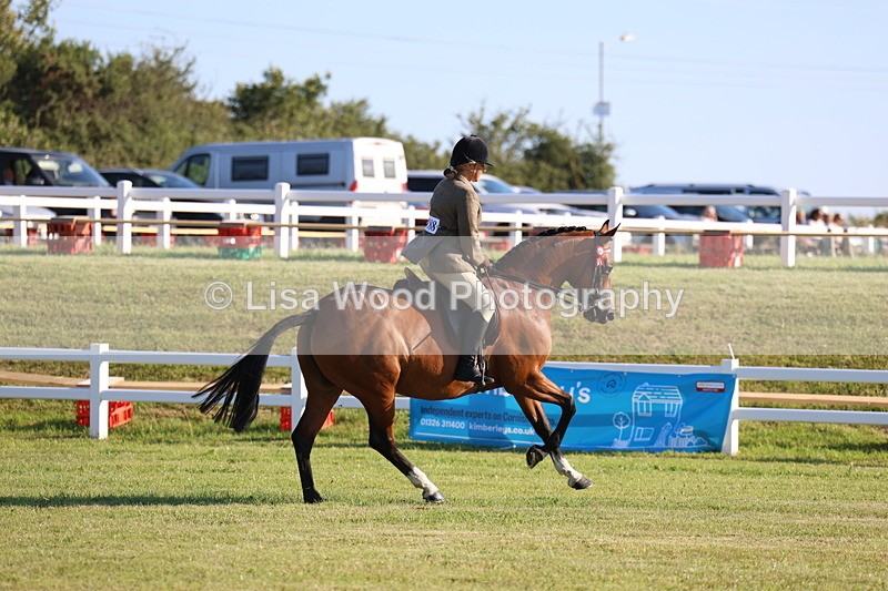 3E7A4951 - Class 1: Rising Star Small Hack/Riding Horses