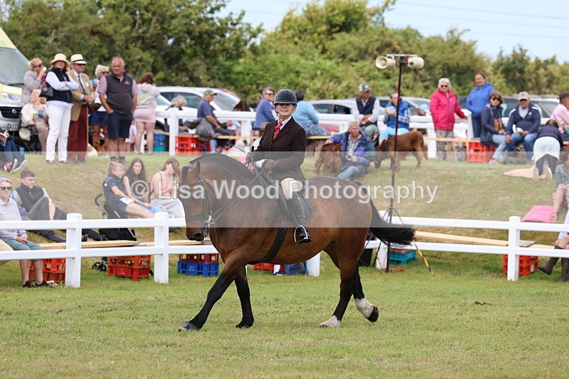 3E7A2010 - Class 10: Open Cob