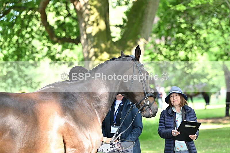 250521A-164304-01297 - C-255-Rupert.Hyde-LEONIDAS.VAN.DE.CRUMELHAEVE
