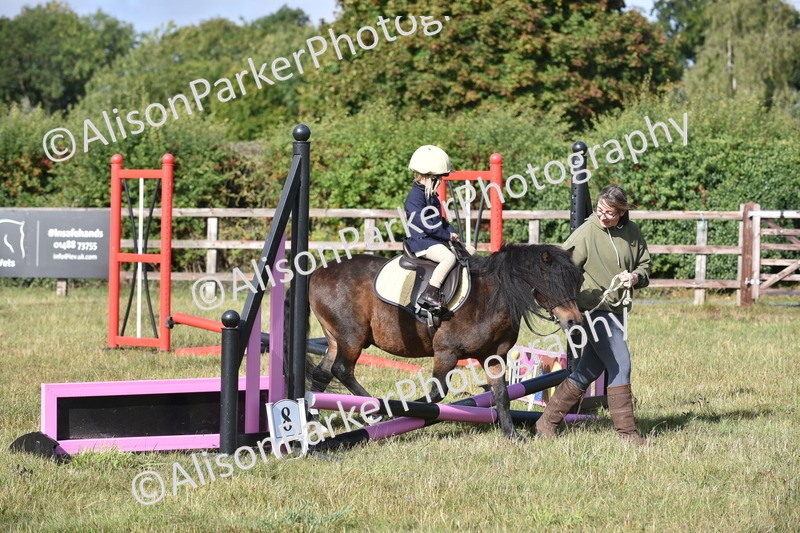 20250831-0336 - Class 6 - Minimus Jumping 30cm