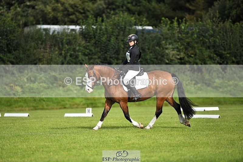 230826-094429-15215 - Sections C & D 9 to 10am