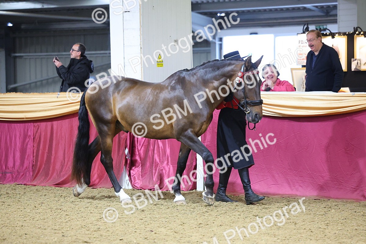 SBM_20751 - Class 902 - Supreme Final IH Veteran