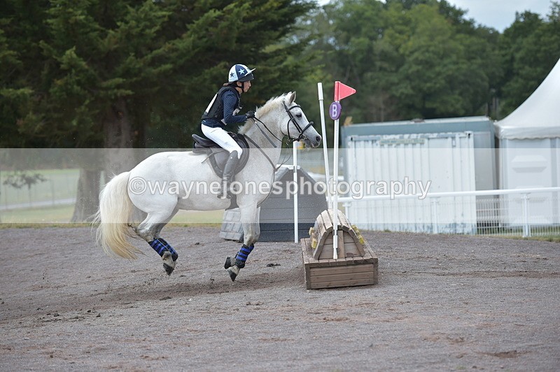 NGP_3383 - XC Time 11:59 to 12:15