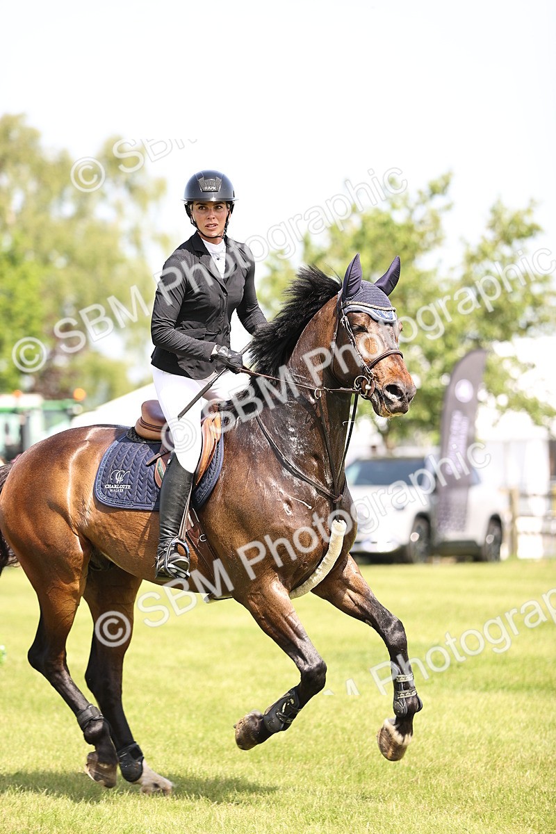 SBM_03209 - Class 201 - British Horse Feedds Speedi Beet HOYS Grade C