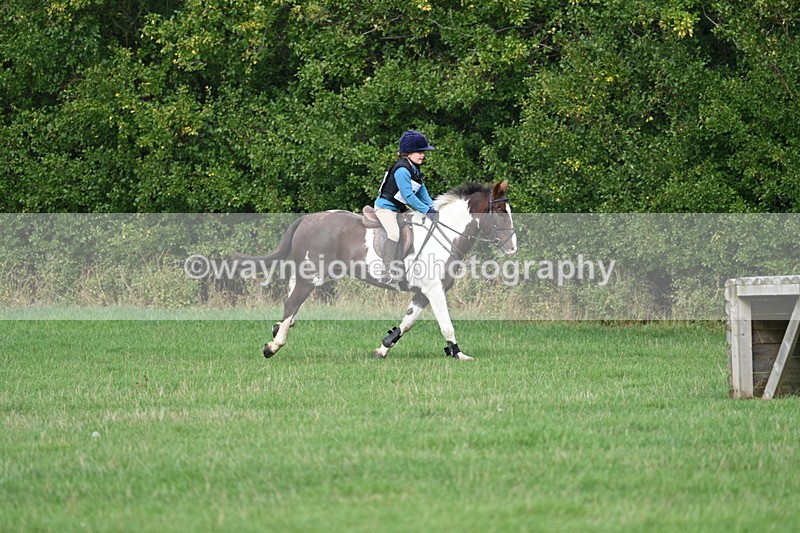 WJ7_8426 - 60cm Pairs