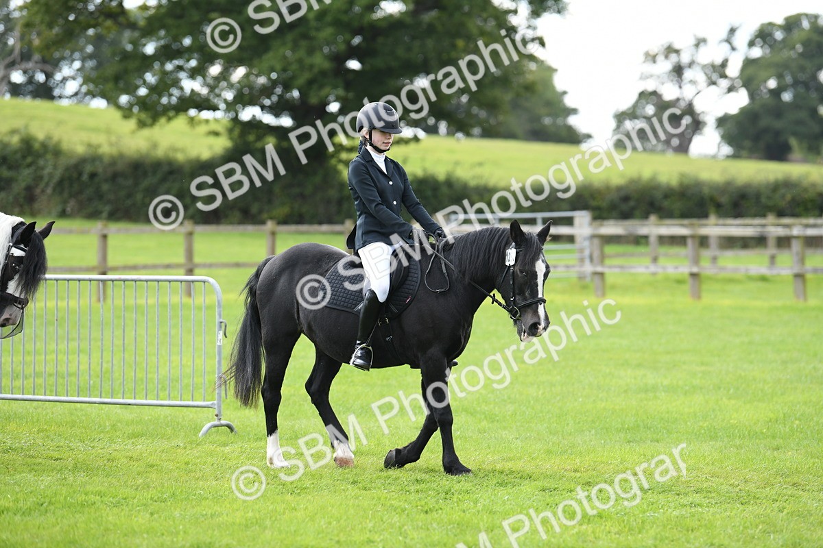 SBM_46677 - S12 - Family Horse & Pony