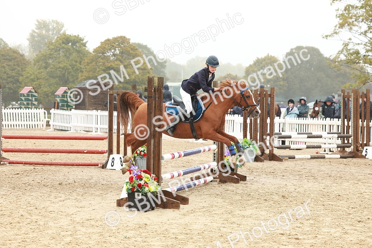 SBM_73357 - Supreme Championship Junior Pony 60cm & 65cm