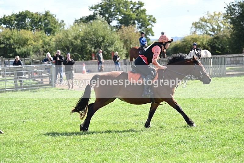 WJ7_1355 - Time 13:56 to 14:24