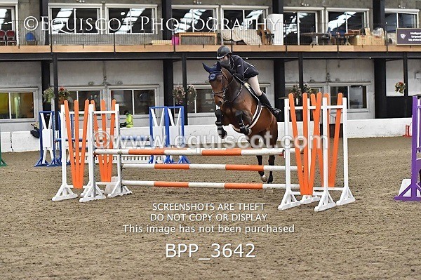 BPP_3642 - FRI CLASS 21 BR NOVICE/90CM