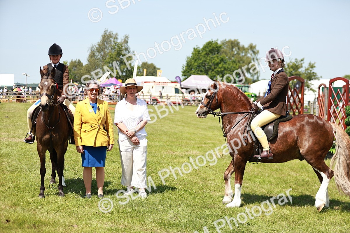 SBM_15818 - Class 108-109 - BSPS LIHS Open Gradle & Nursery Stakes