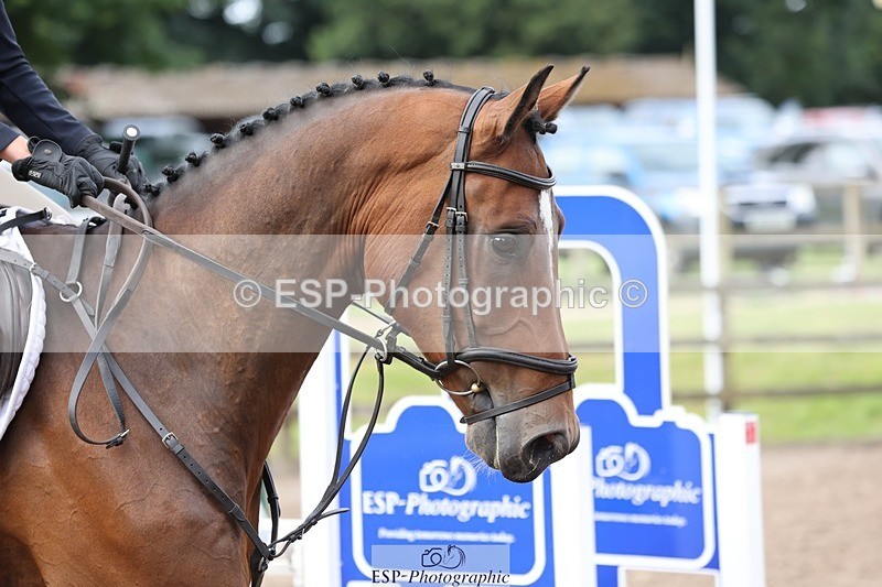 240803-095305-00226 - 101-Olivia_Turner-ODIN_VAN_DE_KOOLHOF