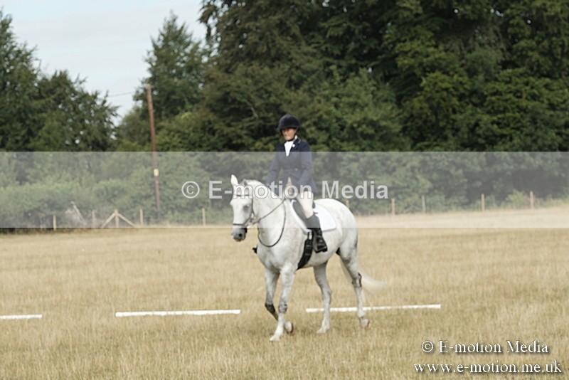 _PJP5646 - Dressage Classes BVRC Show 2018