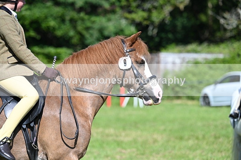 WJ7_0490 - Class 8 First Rally Pony