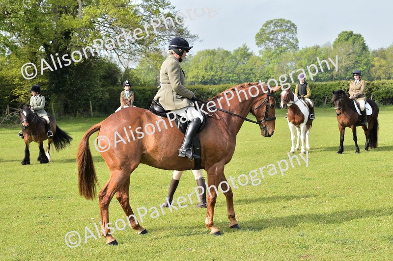 20260426-0898 - Class 18 - Novice Showing