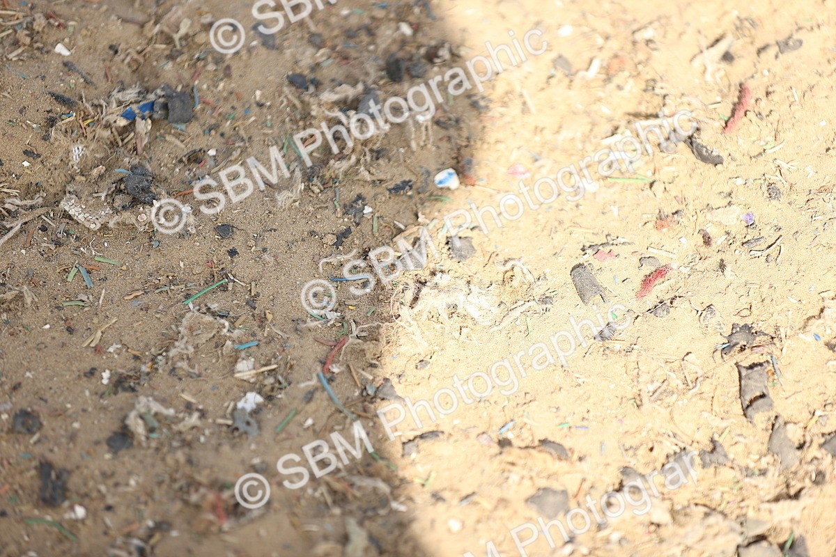 SBM_008408 - Class 8-10-11 - N3-E1-PYO