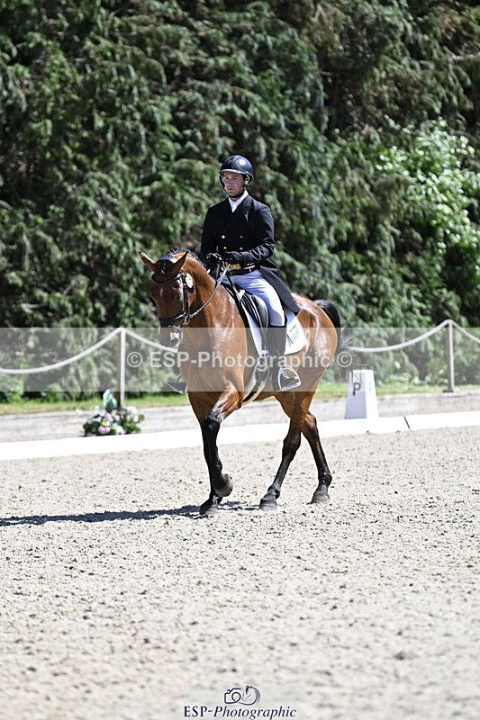 250522A-151118-03815 - D-414-Rupert.Batting-COOMBELAND.SEMILLY