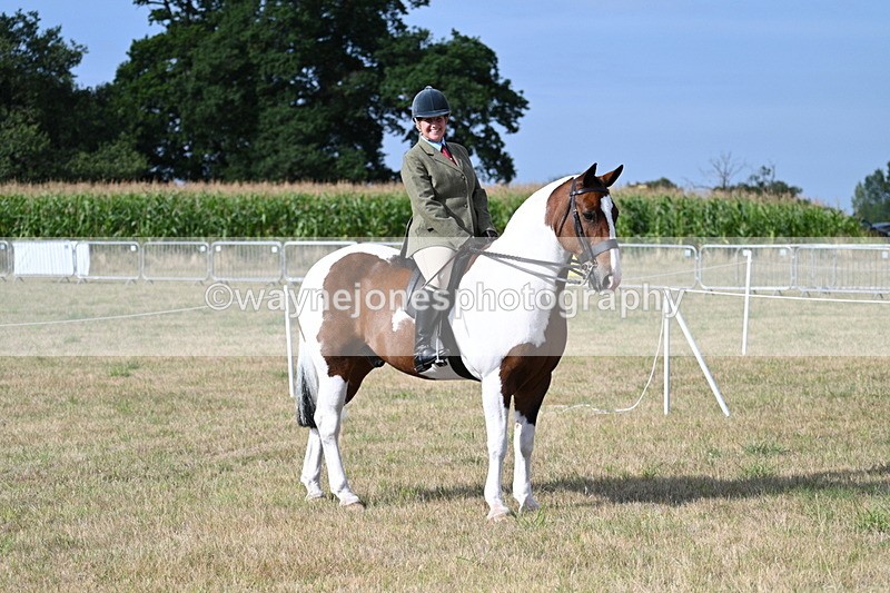 WJ7_2606 - Class 8 Ridden Tack & Turnout