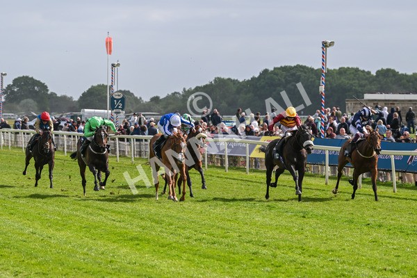 150525-Tropical Storm-4861 - Race 5 4.18pm British Stallion Studs EBF Westow Stakes