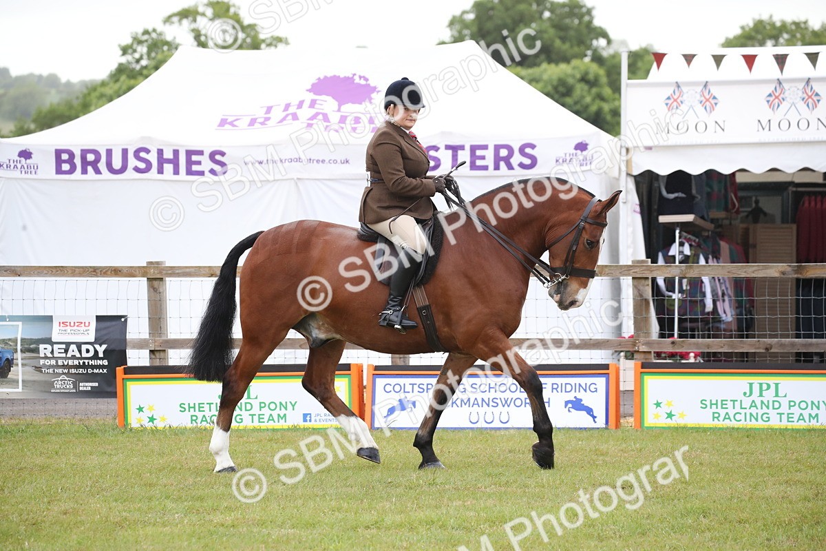 SBM_11028 - Class 92-93 - LIHS BSHA Rising Star Cobs
