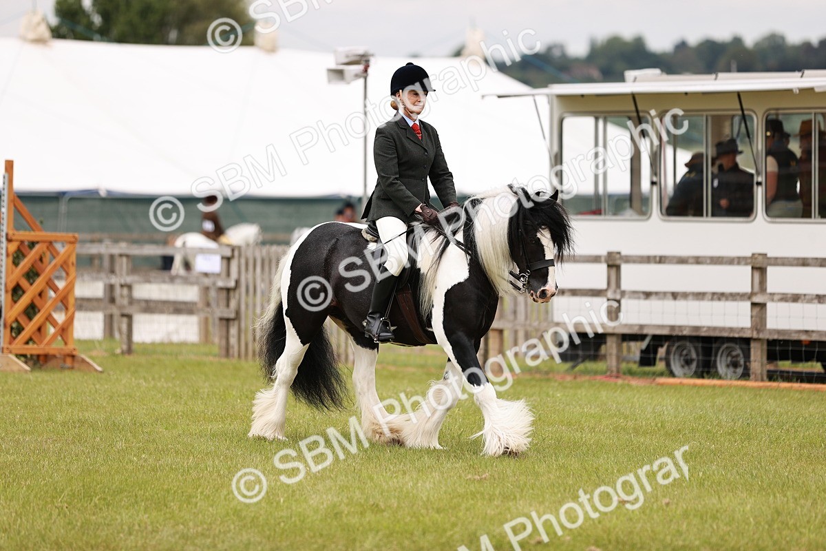 SBM_06169 - Class 39-41 TGCA In Hand and Ridden