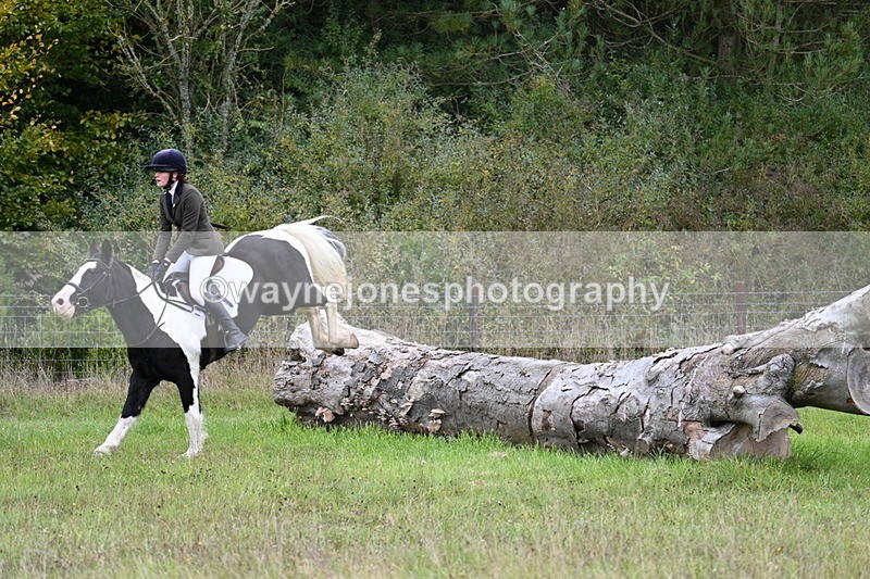 WJ7_3787 - Camera 1 Line 1