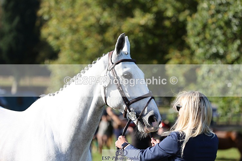 241027-102909-15918 - 593-Abbie.Burbidge-BLUEBIRD