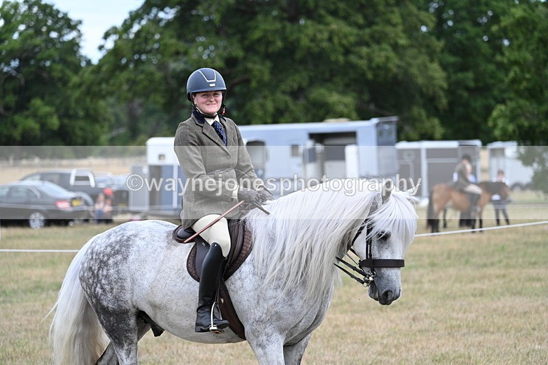 WJ7_5440 - Class 12 Ridden Cob