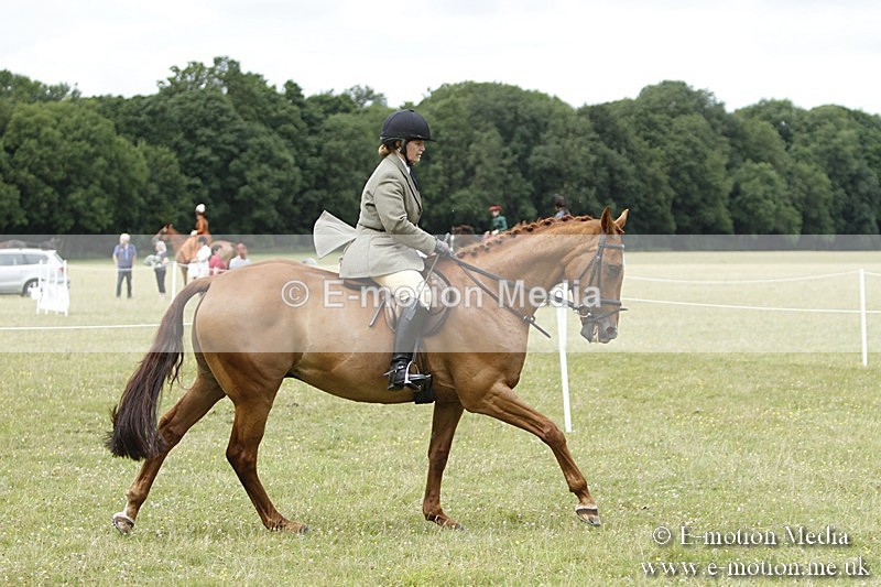 BVR160717-2291 - Working Hunter Championship 16/07/17