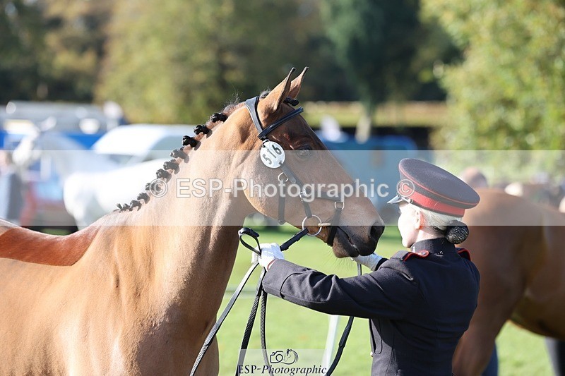 241027-101639-15783 - 516-L.Bdr.Ellie.Mitchell-MICRON.JOY