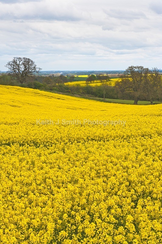 YR6M5211 - United Kindom