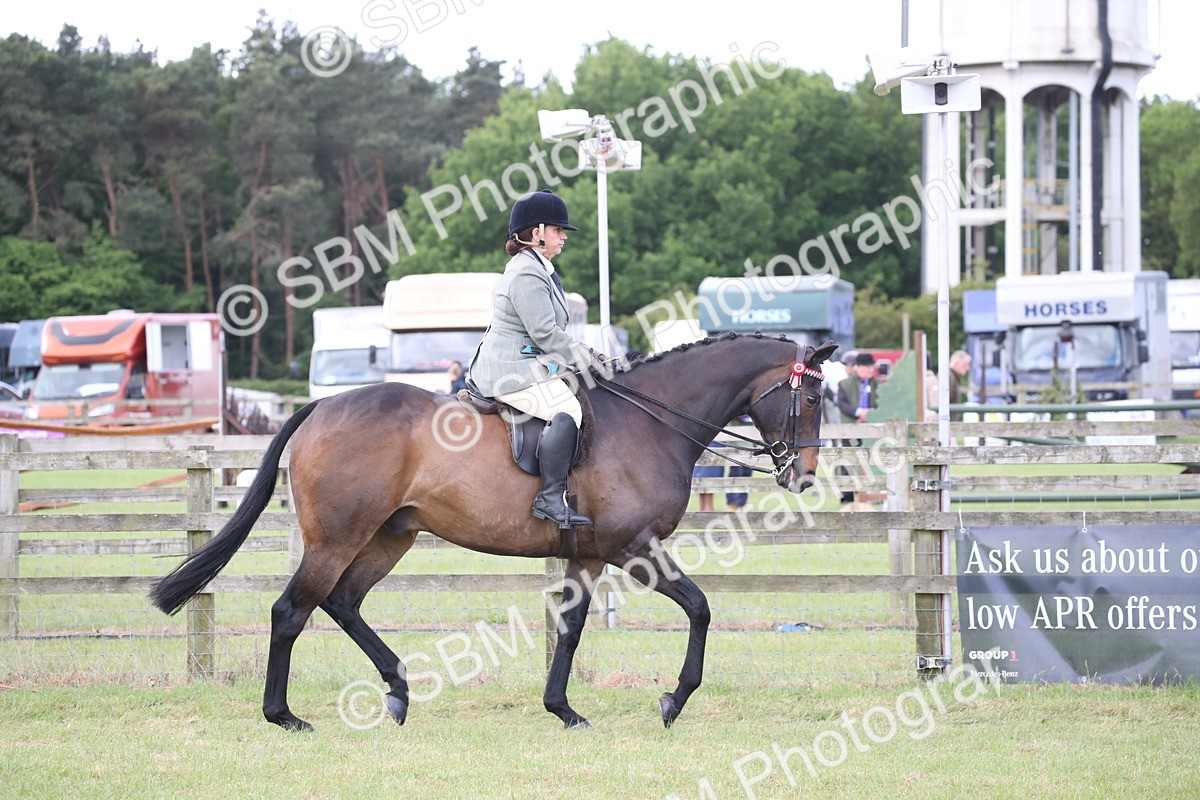 SBM_14140 - Class 113-114 - Retraining of Racehorses Ridden