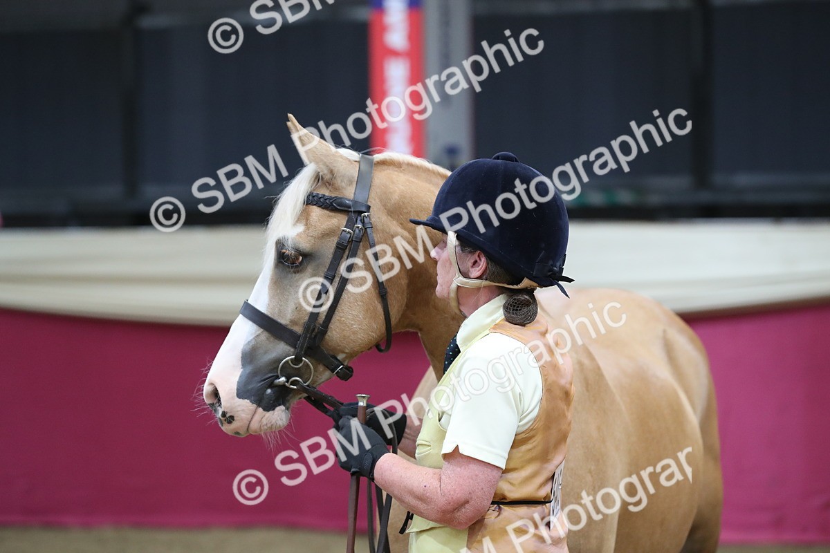 SBM_06395 - Class 9R Regional- IH Pre Vet