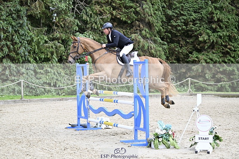 250525A-152829-18244 - C-273-Tim.Cheffings-HEARSAY.LARK.RISING