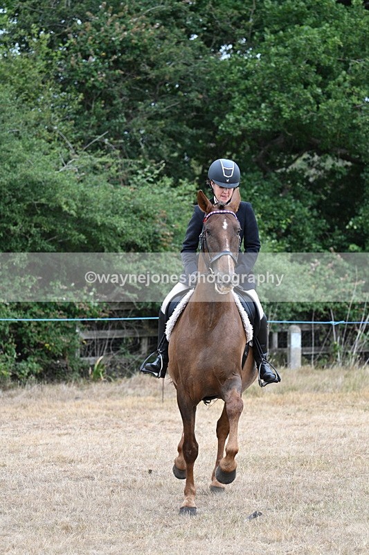 WJ7_0836 - Class 7 Riding Club Show Horse