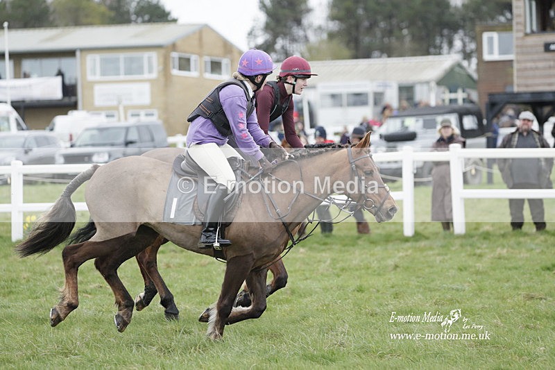 PtP 260323 0087 - New Forest Hounds Point-to-Point Larkhill 26/03/23