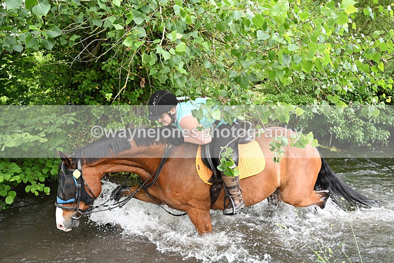 WJ7_2486 - Camera 2 Water Crossing