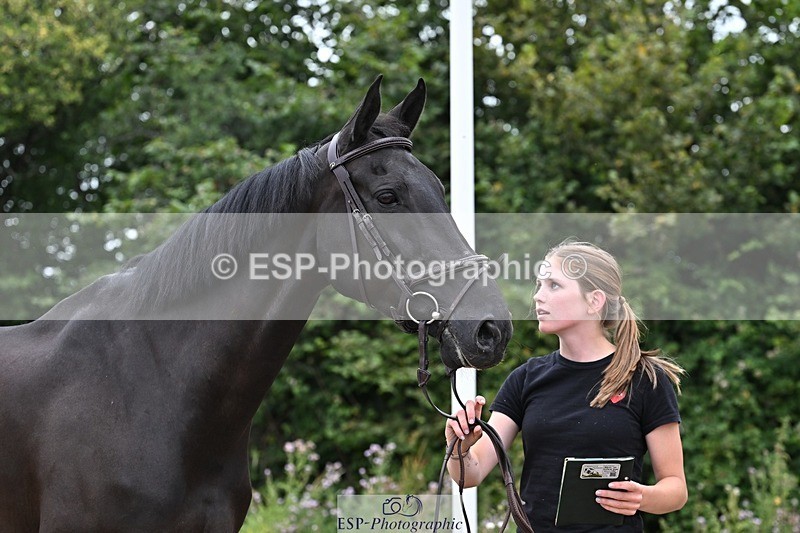 250716-133955-00616 - Trot Up 1.30 to 2.30