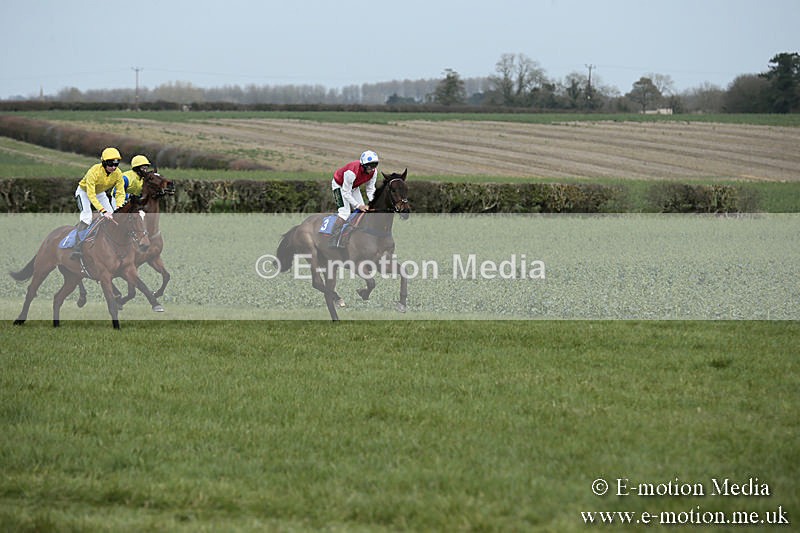PtP 230319 12 - VWH Hunt Siddington Point-to-Point Racing 23/03/19