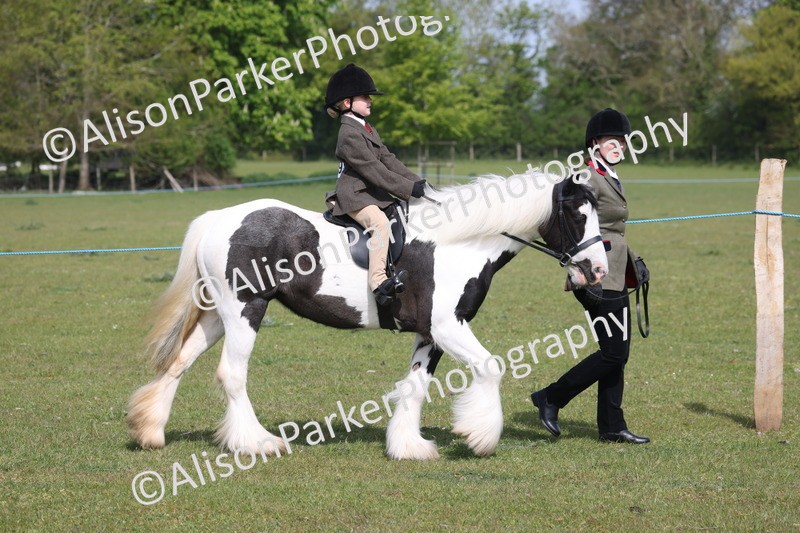 20260426-0564 - Class 31 - Leading Rein