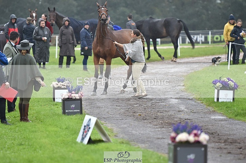 231018-121630-00174 - 025-LYRICAL.II-Harriet.Dickin-TrotUp