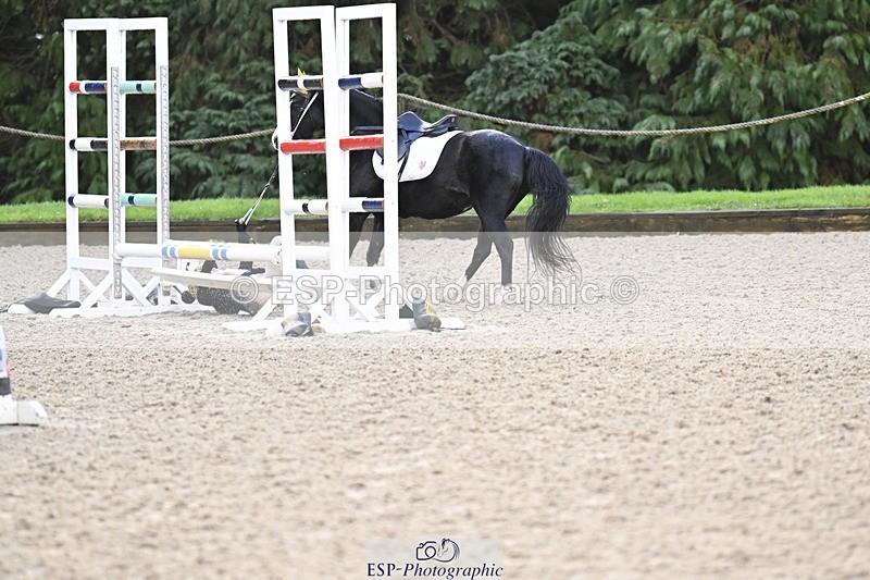 251005A-085938-02906 - Cls 02 GR 50cm