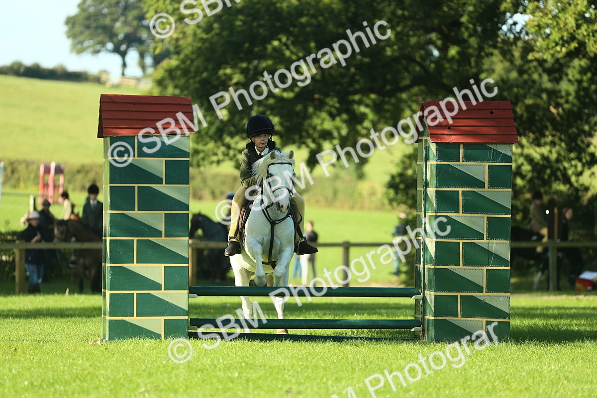 SBM_36389 - S29 - Novice & Newcomers Working Hunter Pony